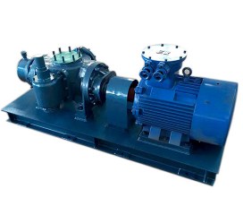 BƠM TRỤC VÍT ĐÔI - KẾT NỐI MOTOR PHÒNG NỔ