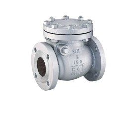 VAN MỘT CHIỀU (CHECK VALVE)